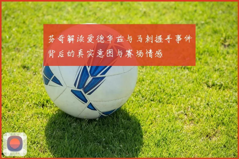 芬奇解读爱德华兹与马刺握手事件背后的真实意图与赛场情感