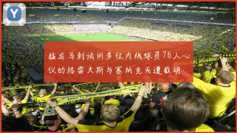 猛龙马刺试训多位内线球员76人心仪的格雷夫斯与塞纳克或遭截胡