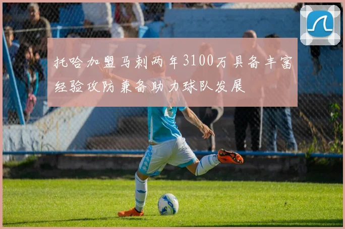 托哈加盟马刺两年3100万具备丰富经验攻防兼备助力球队发展